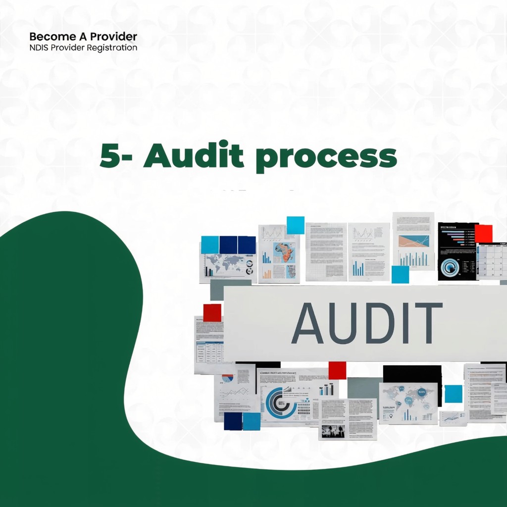 Step 5 Audit process